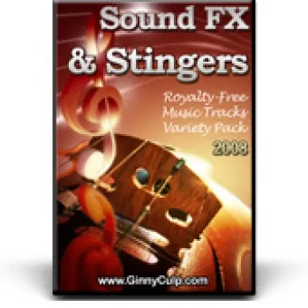 eCover representing Sound FX & Stingers Audio & Music with Personal Use Rights