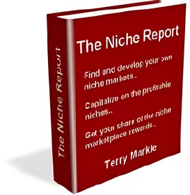 The Niche Report small