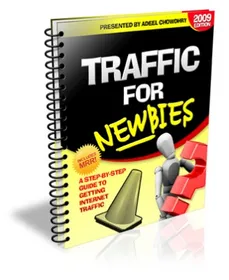 Traffic For Newbies small