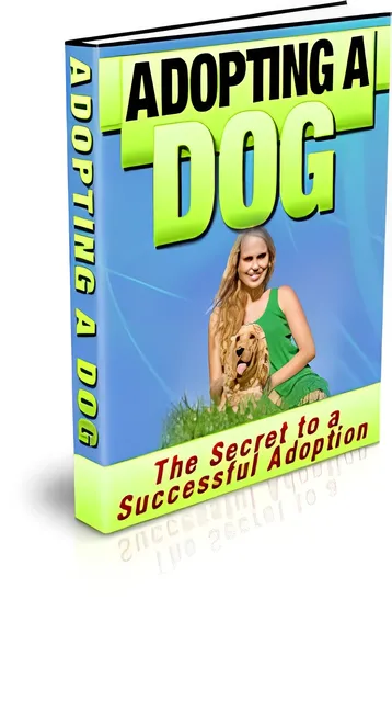eCover representing Adopting A Dog eBooks & Reports with Private Label Rights