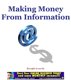 Making Money From Information small