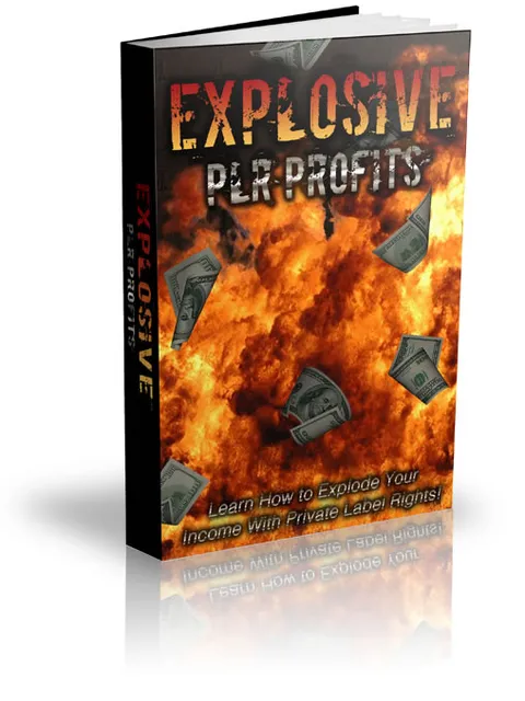 eCover representing Explosive PLR Profits eBooks & Reports with Master Resell Rights