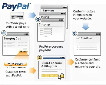 Create A PayPal Custom Payment Page small
