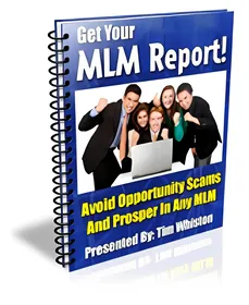 MLM Report small