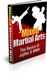 Mixed Martial Arts small