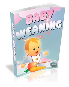 Baby Weaning small