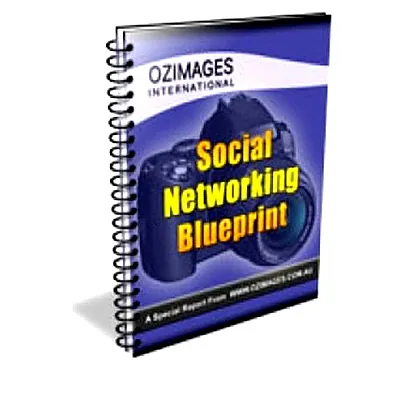 eCover representing Social Networking Blueprint eBooks & Reports with Resell Rights