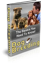 Dog Breeding small