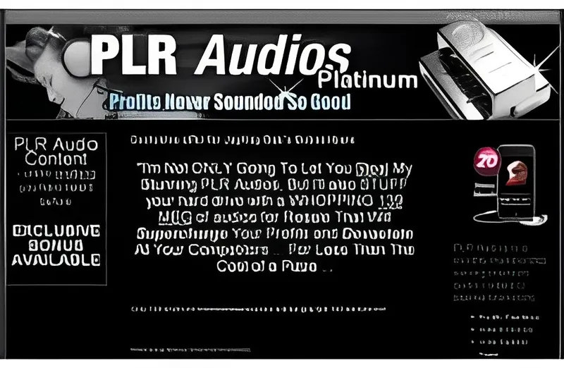 eCover representing PLR Audios Platinum Audio & Music with Personal Use Rights