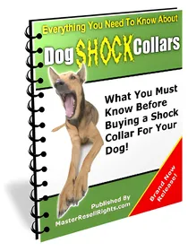 Dog Shock Collars small