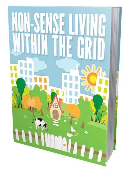 eCover representing Non Sense Living Within The Grid eBooks & Reports with Master Resell Rights