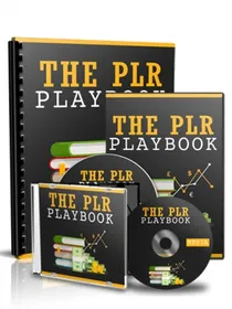 The PLR Playbook small