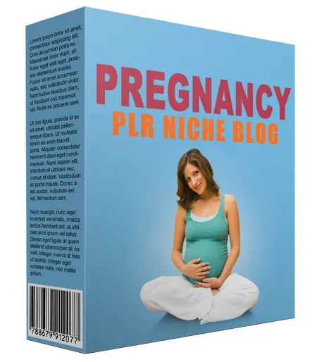 eCover representing Pregnancy PLR Niche Blog V2  with Private Label Rights
