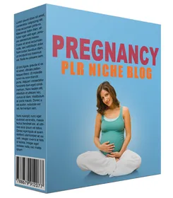 Pregnancy PLR Niche Blog V2 small