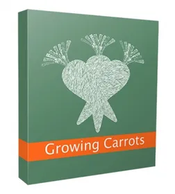 New Growing Carrots Niche Website V3 small