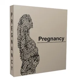 Pregnancy Niche Website Bundle small