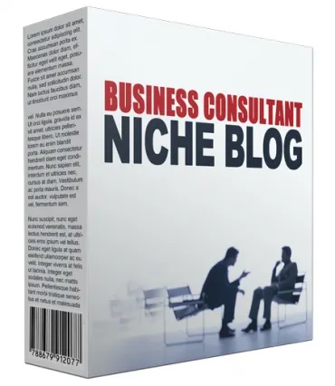 eCover representing Done-For-You Business Consultant Niche Site  with Personal Use Rights