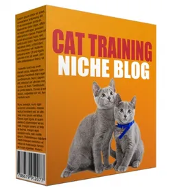 New DFY Can Training Niche Site small