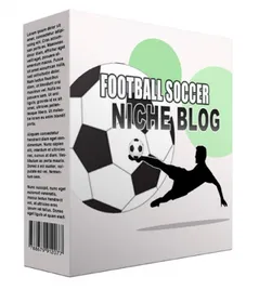 Football Soccer Flipping Niche Blog small