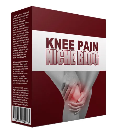 eCover representing New Knee Pain Flipping Niche Blog  with Personal Use Rights
