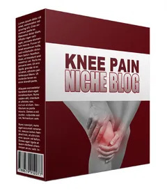 New Knee Pain Flipping Niche Blog small