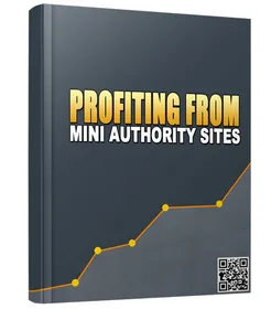 Profiting From Mini Authority Sites small