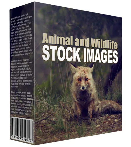 eCover representing Animal and Wildlife Stock Images  with Master Resell Rights