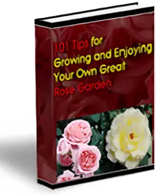 101 Tips For Growing Your Own Great Rose Garden small