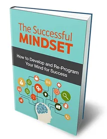 The Successful Mindset small