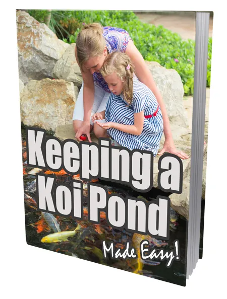 eCover representing Keeping A Koi Pond eBooks & Reports with Private Label Rights
