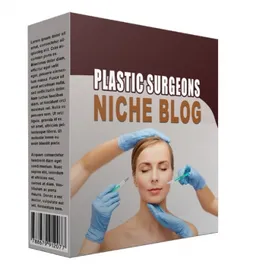 New Plastic Surgeons Flipping Niche Blog small