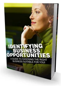 Identifying Business Opportunities small