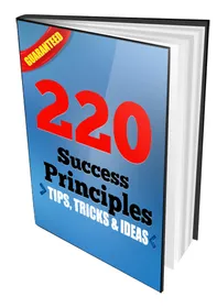 220 Success Principles small