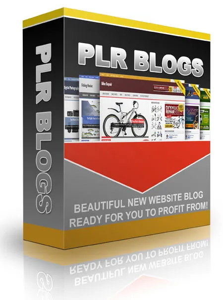 eCover representing PLR Blog Package 2015  with Private Label Rights