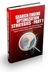 Search Engine Optimization Strategies 2015 Part 1 small