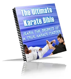 The Ultimate Karate Bible small