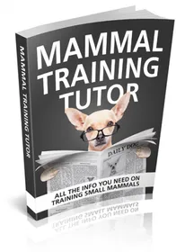Mammal Training Tutor small