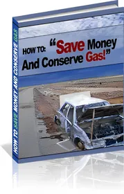 How To Save Money And Conserve Gas! small