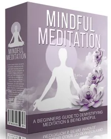 Mindful Meditation small