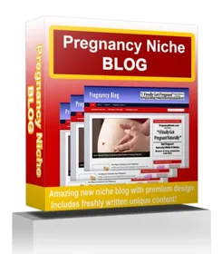 Pregnancy Niche Blog small