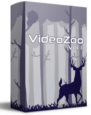 eCover representing VideoZoo Vol. 1  with Personal Use Rights