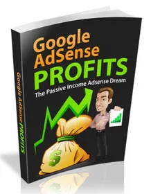 Google Adsense Profits II small