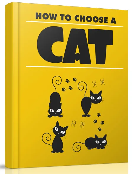 eCover representing How to Choose A Cat eBooks & Reports with 