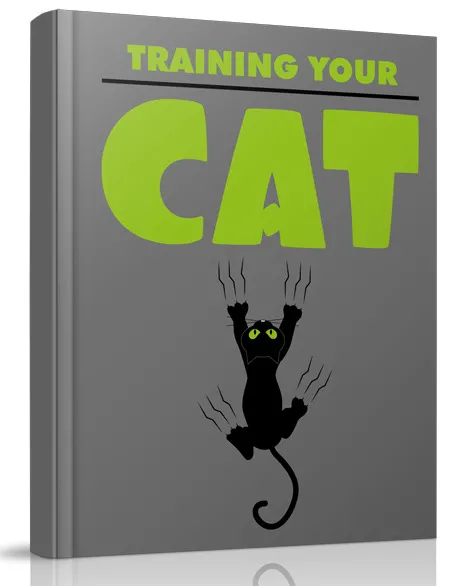 eCover representing Training Your Cat eBooks & Reports with 