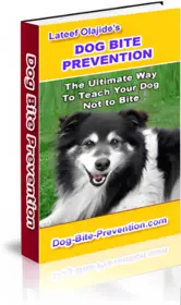 Dog Bite Prevention small