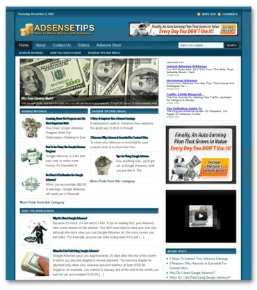 eCover representing Adsense Niche Blog  with Private Label Rights