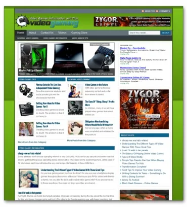eCover representing Video Gaming Niche Site  with Private Label Rights