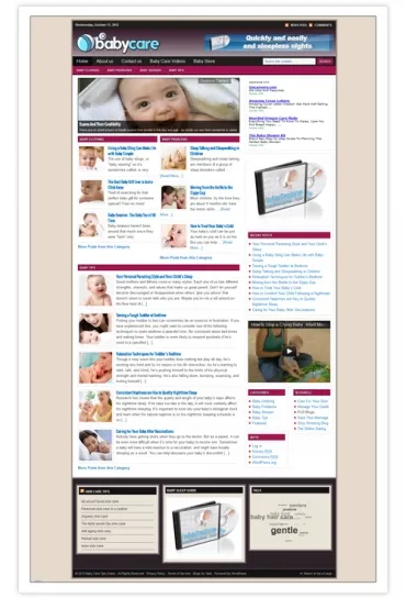 eCover representing Baby Care Blog  with Private Label Rights