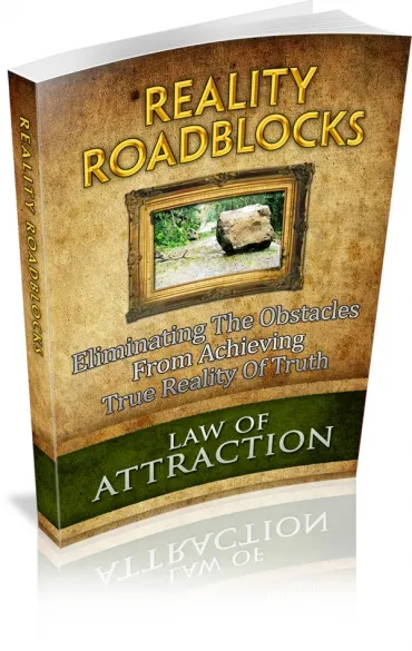 eCover representing Reality Roadblocks eBooks & Reports with Master Resell Rights