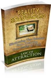 Reality Roadblocks small